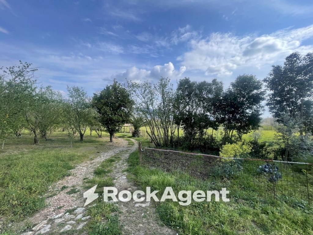 Terreno - Terreno agricolo contrada Salella, San Cipriano Picentino - foto 1