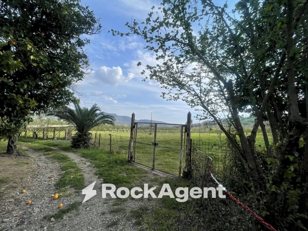 Terreno - Terreno agricolo contrada Salella, San Cipriano Picentino - foto 2