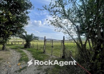 Terreno - Terreno agricolo contrada Salella, San Cipriano Picentino - foto 2