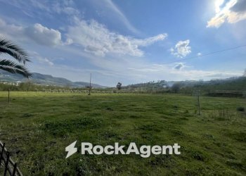 Terreno - Terreno agricolo contrada Salella, San Cipriano Picentino - foto 3