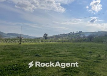 Terreno - Terreno agricolo contrada Salella, San Cipriano Picentino - foto 4