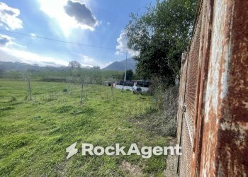 Terreno - Terreno agricolo contrada Salella, San Cipriano Picentino - foto 6