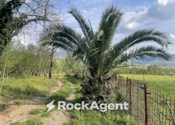 Terreno - Terreno agricolo contrada Salella, San Cipriano Picentino - foto 16
