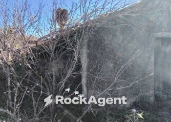 Terreno - Rustic via Gelsa Grande, Ardore - photo 22