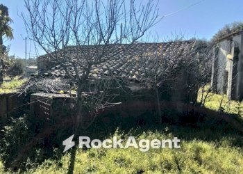 Terreno - Rustic via Gelsa Grande, Ardore - photo 24