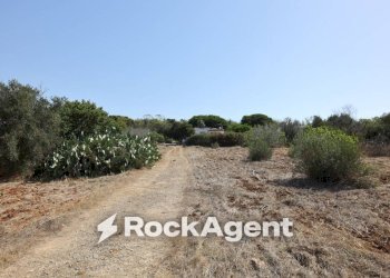 Terreno - Villa strada Provinciale 291, Ugento - photo 30