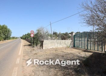 Terreno - Villa strada Provinciale 291, Ugento - photo 31
