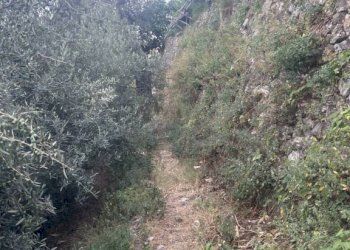 Terreno - Rustico via Torello, Ravello - foto 18