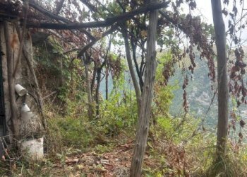Terreno - Rustico via Torello, Ravello - foto 27