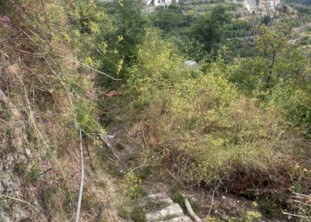 Terreno - Rustico via Torello, Ravello - foto 28