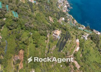 Terreno - Terreno agricolo via Torretta a Marmorata, Ravello - foto 31