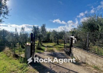 Terreno - Villa via Palmente, 42, Rogliano - photo 4