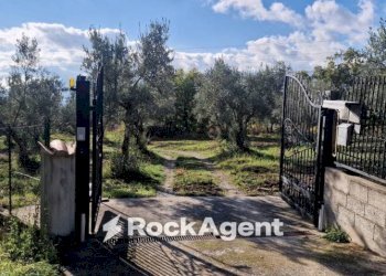 Terreno - Villa via Palmente, 42, Rogliano - foto 5