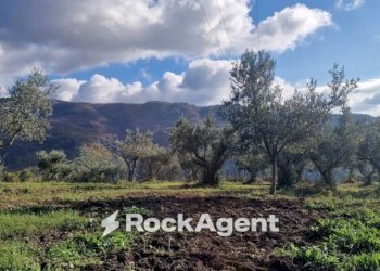 Terreno - Villa via Palmente, 42, Rogliano - foto 18