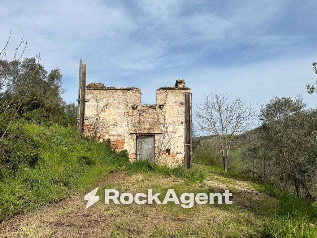 Terreno - Rustic SP 45, Moscufo - photo 1