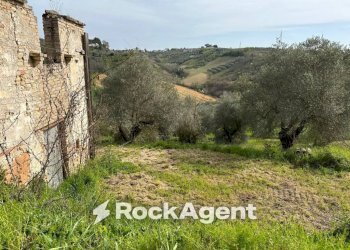 Terreno - Rustic SP 45, Moscufo - photo 9