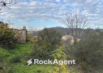 Terreno - Rustic SP 45, Moscufo - photo 16