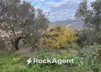 Terreno - Rustic SP 45, Moscufo - photo 18