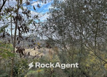 Terreno - Rustic SP 45, Moscufo - photo 19