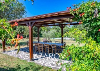 Giardino - Villa via Piave, 12, Campagnatico - foto 18