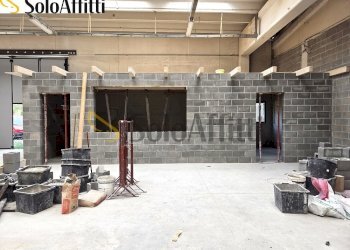 Ufficio e servizi - Capannone Via delle Viole, Cogliate - foto 3