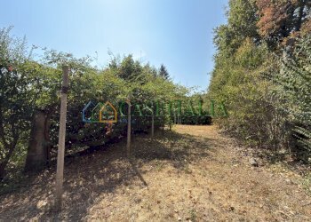 IMG_6602 - Villa Ivrea - photo 30