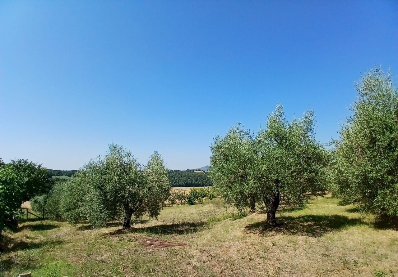 0b2cbb35-5eeb-4b33-9fa9-af26b1cfbd09 - Rustic Vocabolo Merolfo, Montecastrilli - photo 2