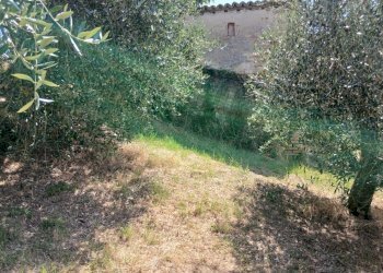 2c94d550-4d63-4984-b921-1cb9f800a820 - Rustic Vocabolo Merolfo, Montecastrilli - photo 5