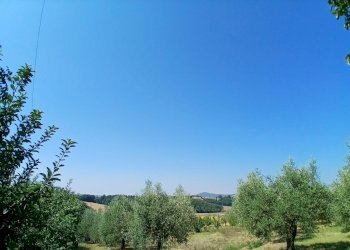 4d7a39b9-2bdd-41de-a14b-65ec39737302 - Rustic Vocabolo Merolfo, Montecastrilli - photo 6