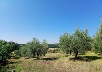 7c27d652-0a9b-4d49-ba95-c1796e2cee54 - Rustic Vocabolo Merolfo, Montecastrilli - photo 7