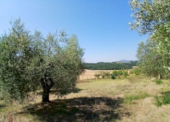 9d90486f-f2d3-4d64-8a3e-1eef4be1da16 - Rustic Vocabolo Merolfo, Montecastrilli - photo 9