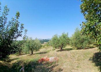 18e59bb4-a4bc-4174-8fbf-b6d499c9b965 (1) - Rustic Vocabolo Merolfo, Montecastrilli - photo 10