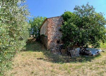 044f7f69-8dff-4fb8-bfbb-aab82ddf1fd1 - Rustic Vocabolo Merolfo, Montecastrilli - photo 13