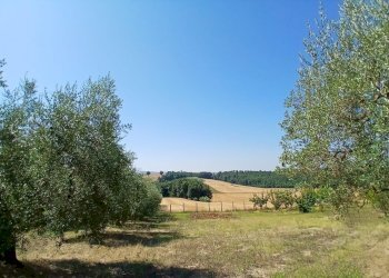 74bcccd1-9aa4-459c-8534-00fafc8bda1d - Rustic Vocabolo Merolfo, Montecastrilli - photo 14