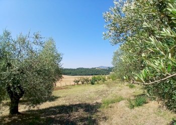 93bf516a-353d-4ea2-9843-ac1d60a6ebc4 - Rustic Vocabolo Merolfo, Montecastrilli - photo 15