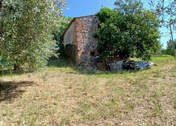 0758d06a-59fc-4f9c-86b8-64174419f034 - Rustic Vocabolo Merolfo, Montecastrilli - photo 16
