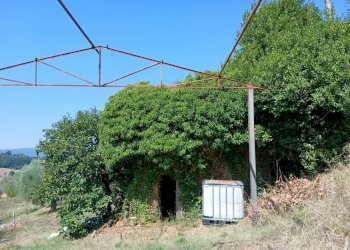 2572f7ad-8267-4da4-9823-7b9b5f99011f - Rustic Vocabolo Merolfo, Montecastrilli - photo 17