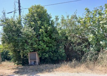 303823c2-d87f-48dc-85a8-68638582f823 - Rustic Vocabolo Merolfo, Montecastrilli - photo 18