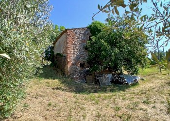 aaaa07af-700a-43f4-9e00-cdcfc07713dd - Rustic Vocabolo Merolfo, Montecastrilli - photo 20