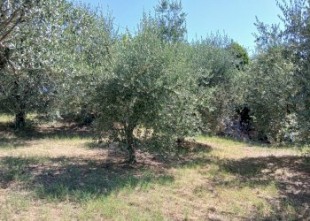 af271fc6-50a5-4449-b01b-858d0d72a883 - Rustic Vocabolo Merolfo, Montecastrilli - photo 22