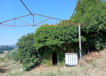 b8307694-da05-44d9-95b8-cf195bce421d - Rustic Vocabolo Merolfo, Montecastrilli - photo 23
