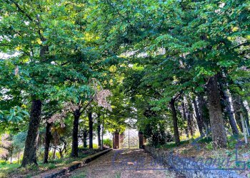 17062026-0B8EF946-12C2-4AF6-886C-325C6318F5C7_1_10 - Independent house Via Garampa, Cesena - photo 5