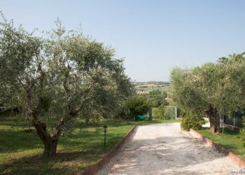 _MG_7071.jpg - Villa Via della Carletta, Rimini - photo 25