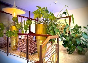 IMG_2893.jpg - Attic Via del Sole, Rimini - photo 9
