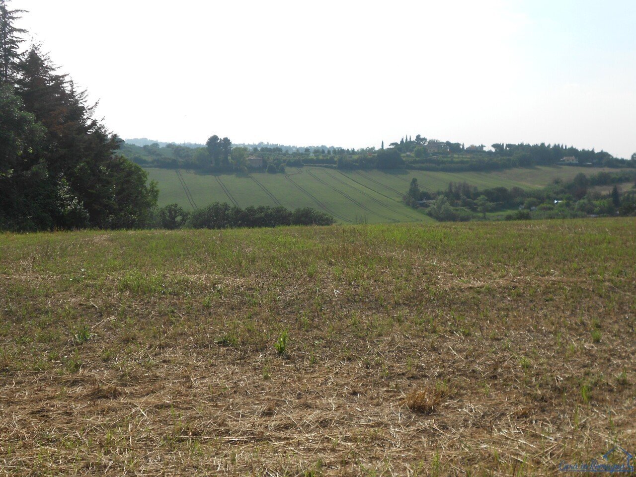 e24.jpg - Agricultural land Via Castellaccio, Rimini - photo 2