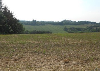 e24.jpg - Agricultural land Via Castellaccio, Rimini - photo 2