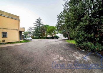Capannone-9.jpg - Laboratory Via Ausa, Rimini - photo 11
