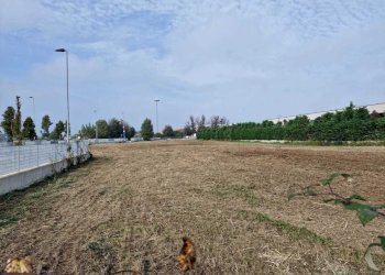 Immagine WhatsApp 2024-11-06 ore 11.04.37_c82b433d - Building land Via Achille Grandi, Rimini - photo 6