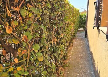 30.jpg - Appartamento Via Cialdini 30, Perugia - foto 22