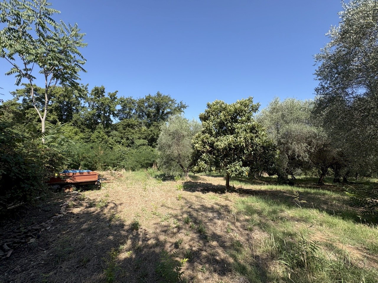 3 - Terreno edificabile Via Colle San Paolo, Montelibretti - foto 3